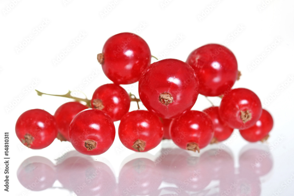 Red currants Red currants