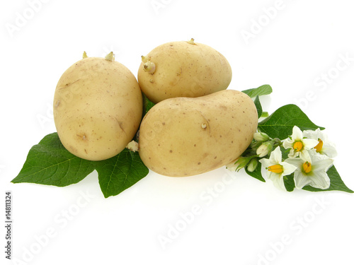 new potatoes