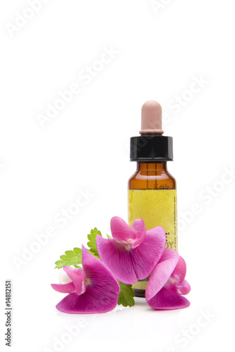 Bachblüten