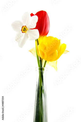 Spring bouquet isolated on white background