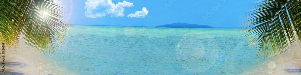 tropical beach background banner