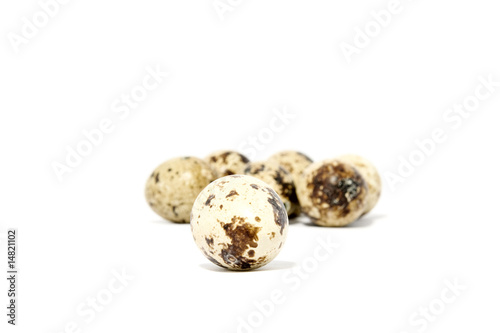Peewit eggs isolated on white background photo