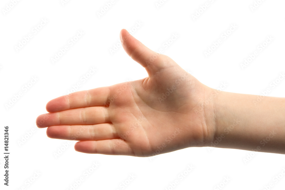 Handshake isolated on white background Handshake isolated on white background