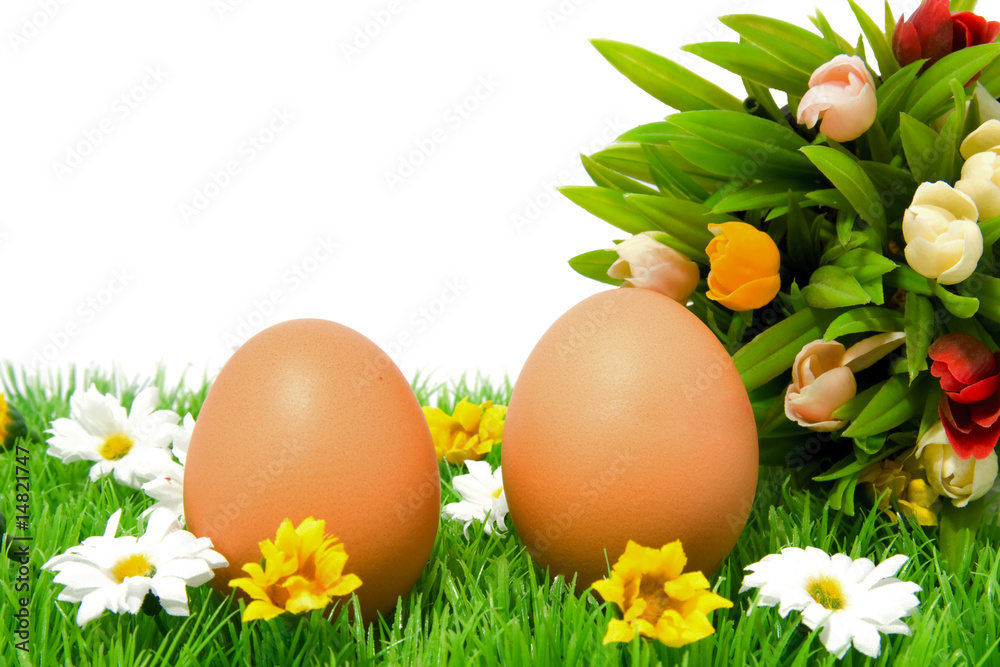Two chickeneggs on grass with little tulips Two chickeneggs on grass with little tulips