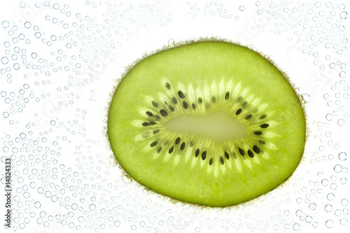 Kiwi, randlos freigestellt