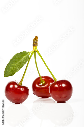 cherry