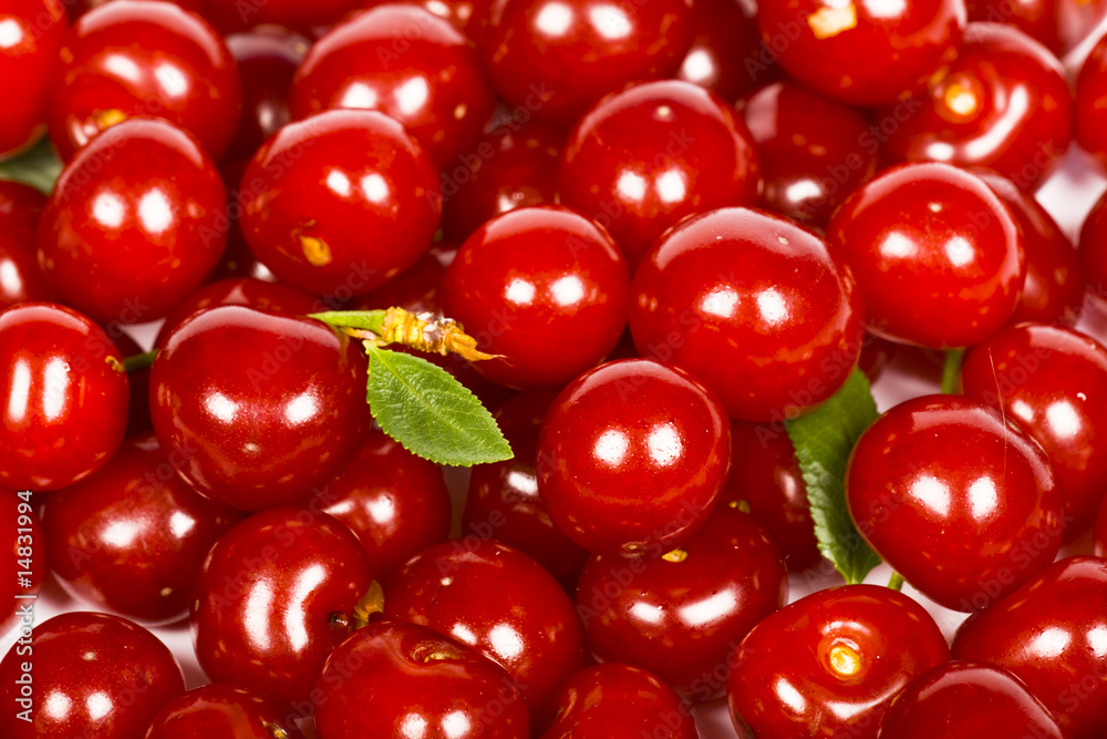cherry cherry