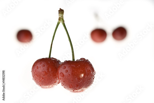 Cherry
