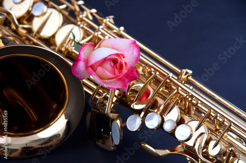 Gold Saxophone with Pink Rose on blue