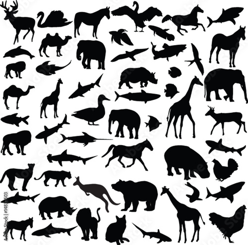 big collection of different animals - vector