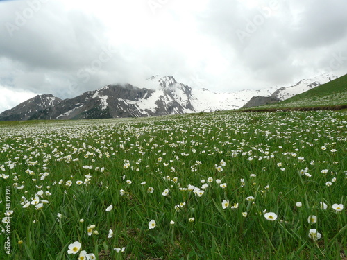 montagnes enneigées dans les nuages 300509111