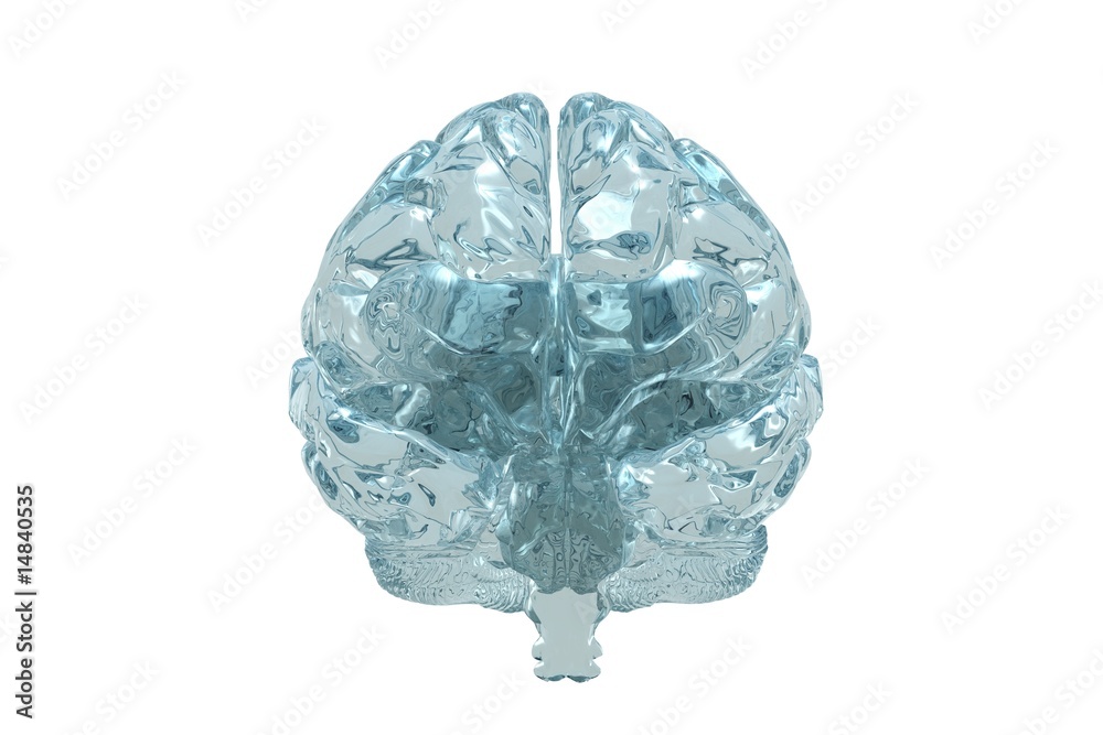 Glass 3D view of the human brain Glass 3D view of the human brain