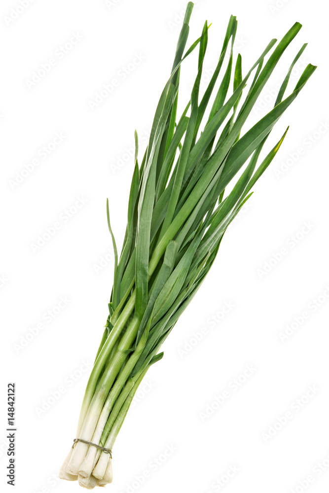 Green onion