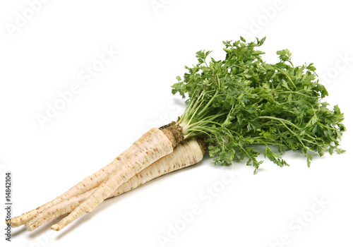 Parsley with root