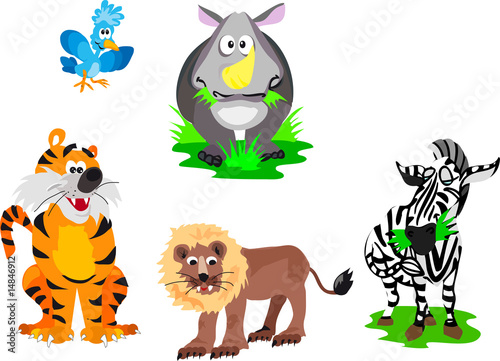 funny animals