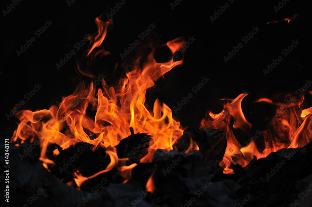 wild fire