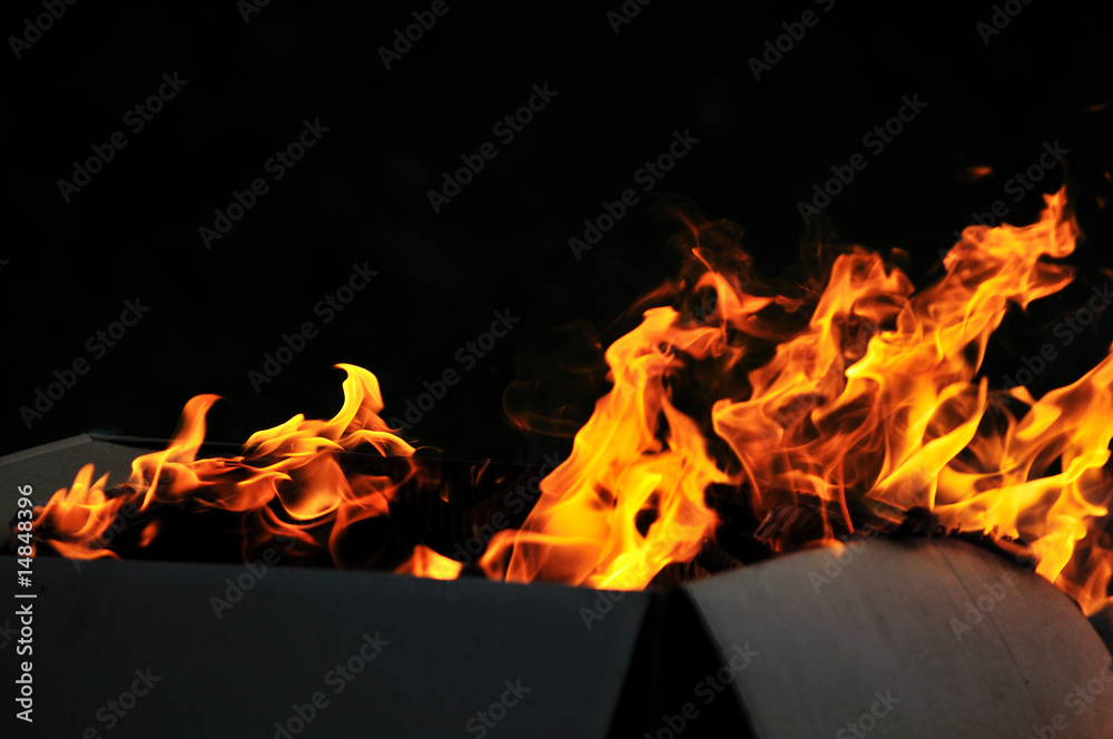 Obraz premium wild fire