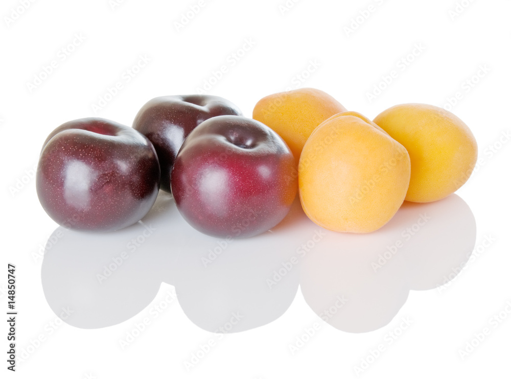 Obraz premium Plums And Apricots