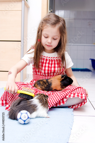 little girl laying with two guinea pigs