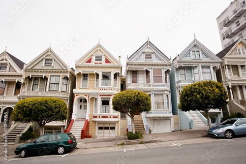 Painted Ladies