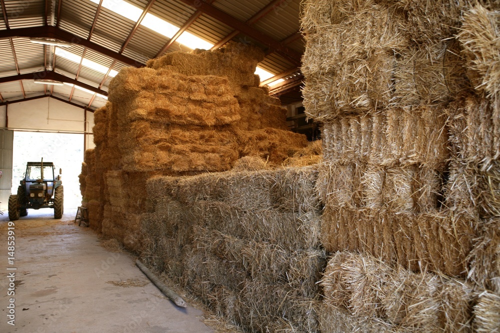 Obraz premium Golden straw barn stacked