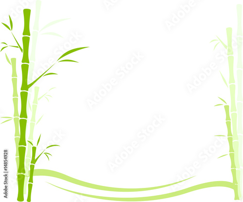 bamboo background