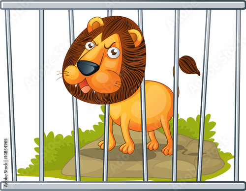 lion in a cage