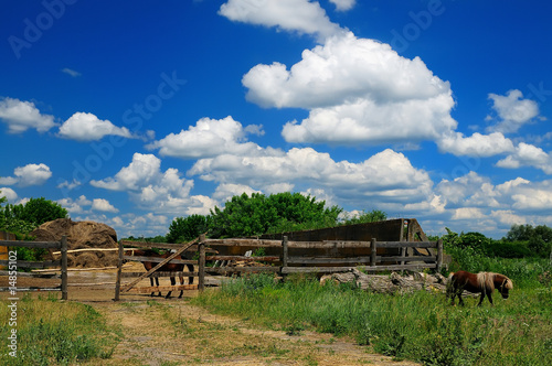 horse farm