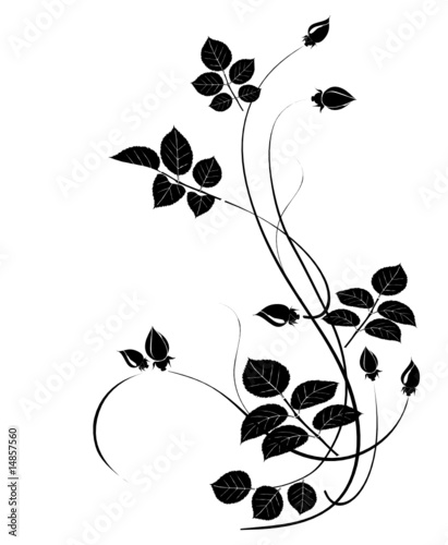 Dekoratives Rosenblüten Ornament schwarz weiss