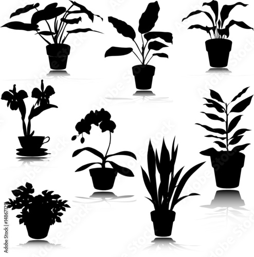 potted flower vector silhouettes
