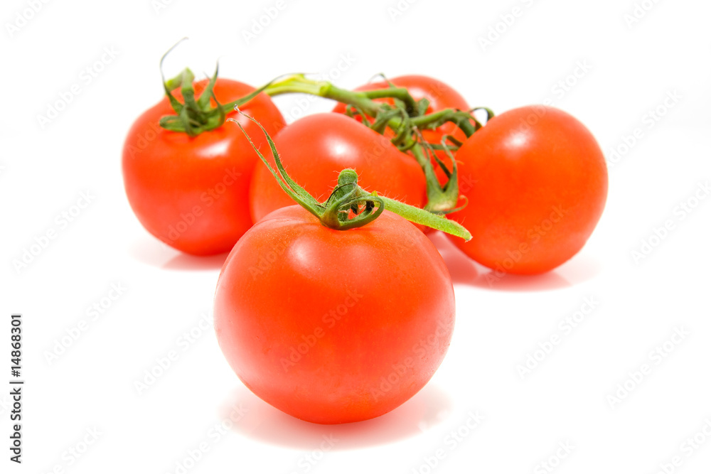 Spray tomatoes isolated on white background Spray tomatoes isolated on white background