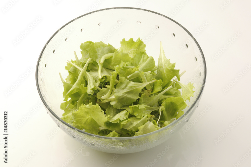Insalata Insalata
