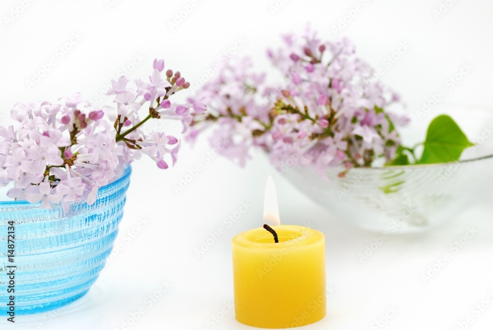 Candles, flowers for aromatherapy treatment on white background