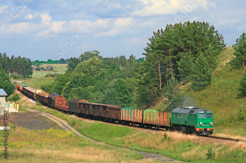 Rural summer landscape with freight train