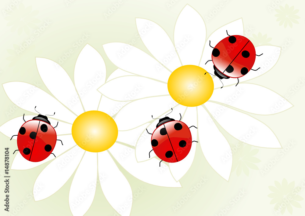 Fototapeta premium marienkäfer auf blume illustration