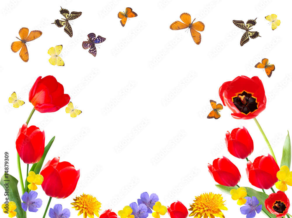 Naklejka premium flower frame isolated on white