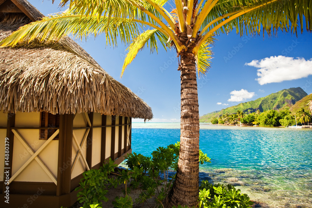 Tropical bungalow and palm tree next to blue lagoon