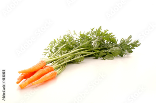 ein Bund Karotten auch Mohrruebe oder Moehre genannt