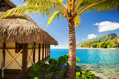 Fototapeta Naklejka Na Ścianę i Meble -  Tropical bungalow and palm tree next to blue lagoon