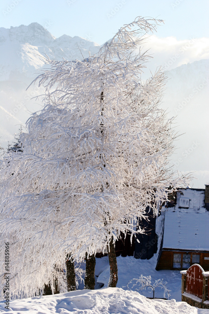 Zakopane
