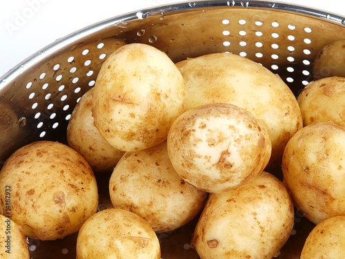 Quadro em tela potatoes