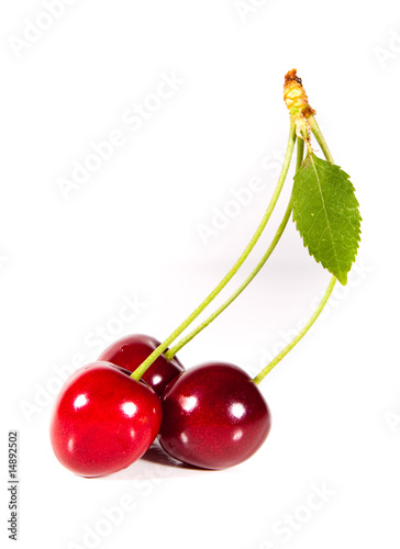 Obraz na płótnie sweet red cherry with leaves isolated on white