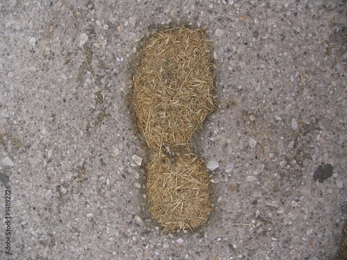 Straw Shoe Print