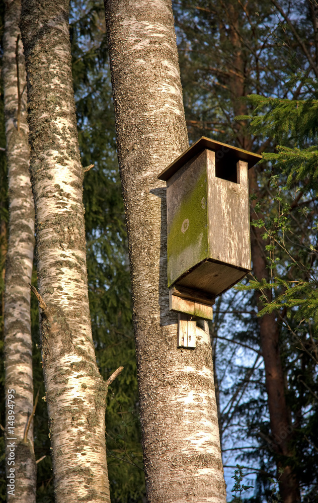 Bird house