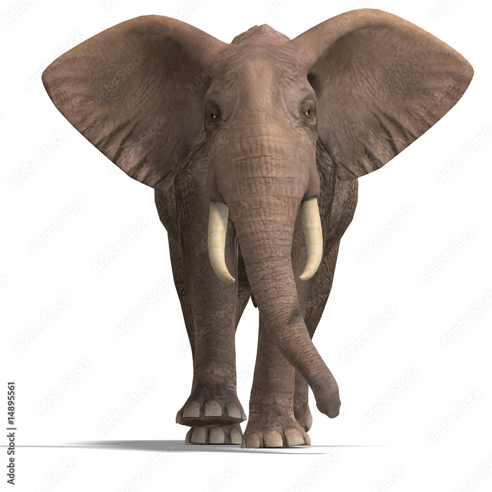 huge elephant