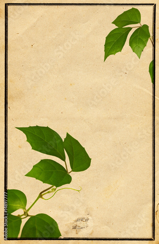 design floral, sur un fond de vieux papier usé