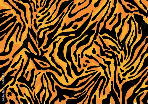 Tiger background