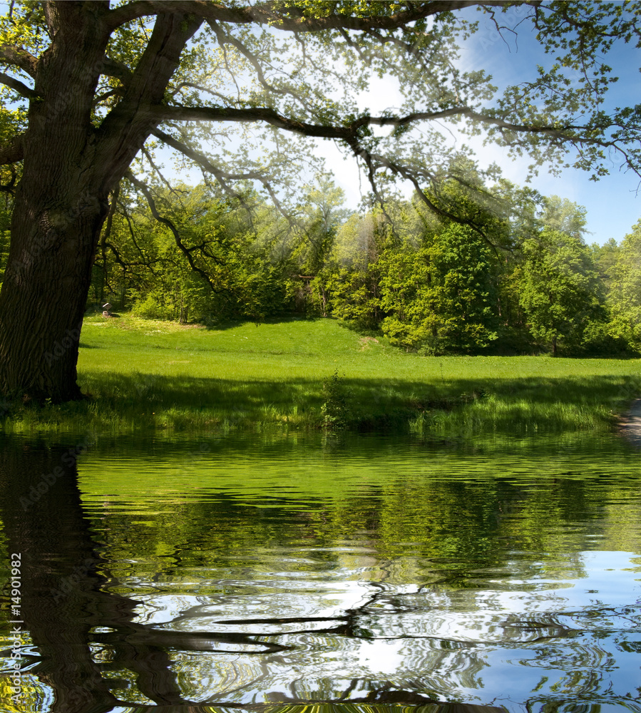 beautiful mountain valley reflection on lake surface