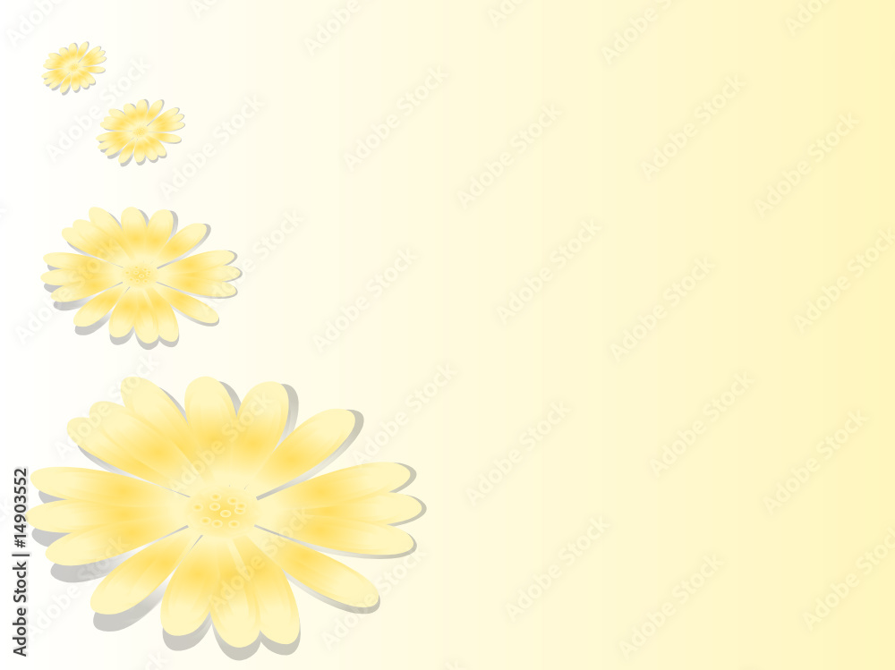 fleurs jaunes