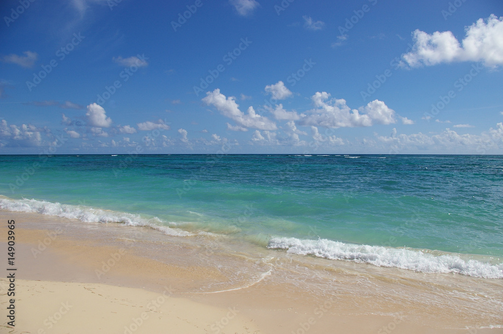 Obraz premium Karibikstrand